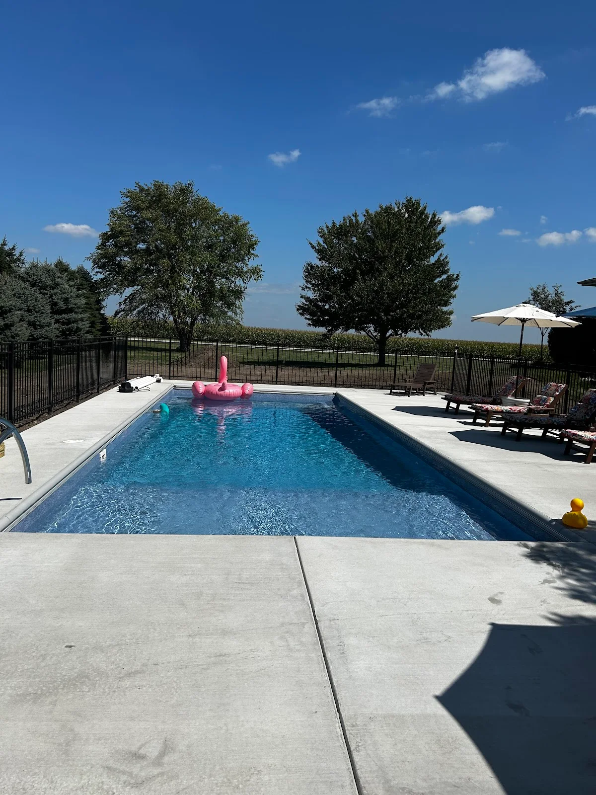 Backyard pool with fencing and landscaping at a Custom Pools installation
