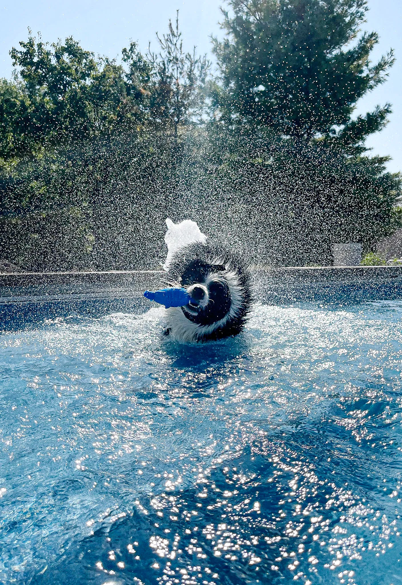 family-ready fiberglass pool near Mahomet Illinois