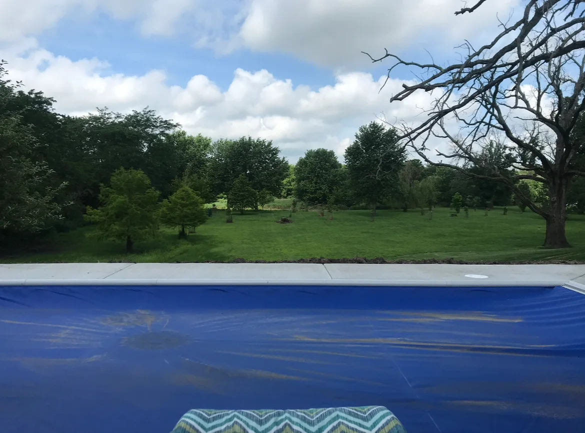 Pool and landscaping viewed across the yard at a Custom Pools build